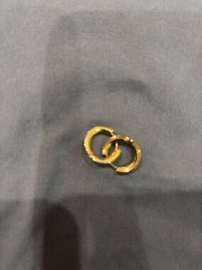 Vitaly Arc Stainless Steel Gold Earrings